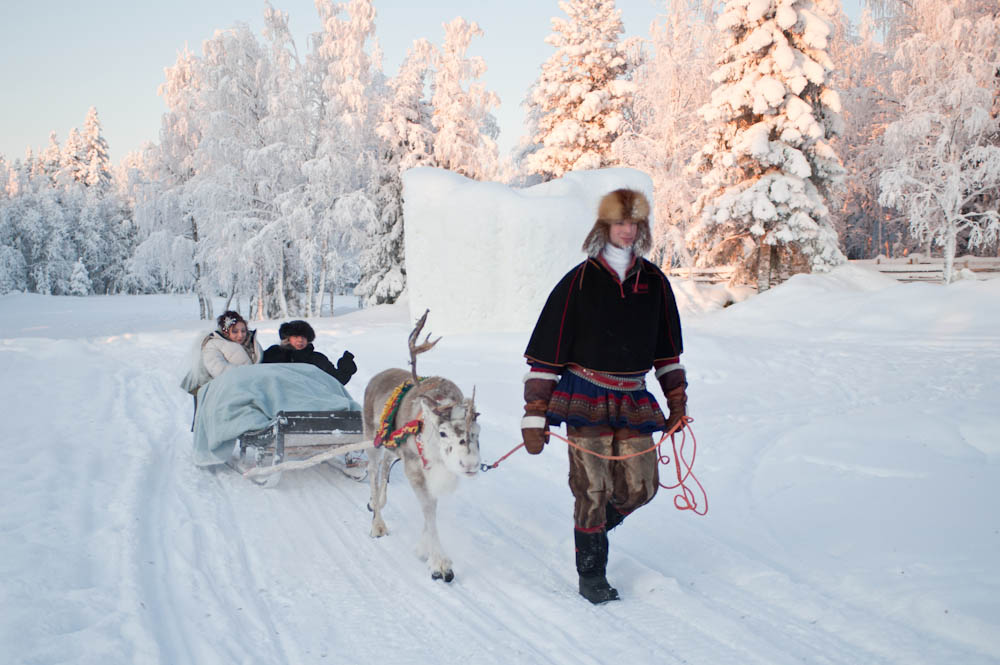 Bride Travelling Reindeer Sleigh