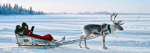 Reindeer Sleigh