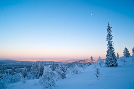 Snow scene