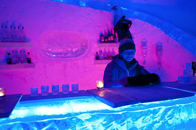 Bar Tender at Ice Bar