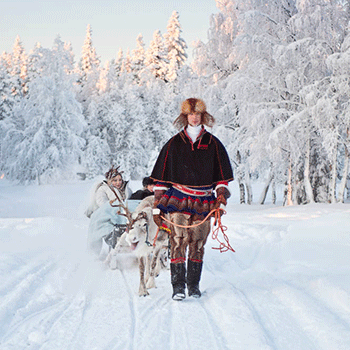 Reindeer Sleigh