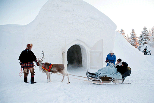 Bride arriving by reindeer sleigh